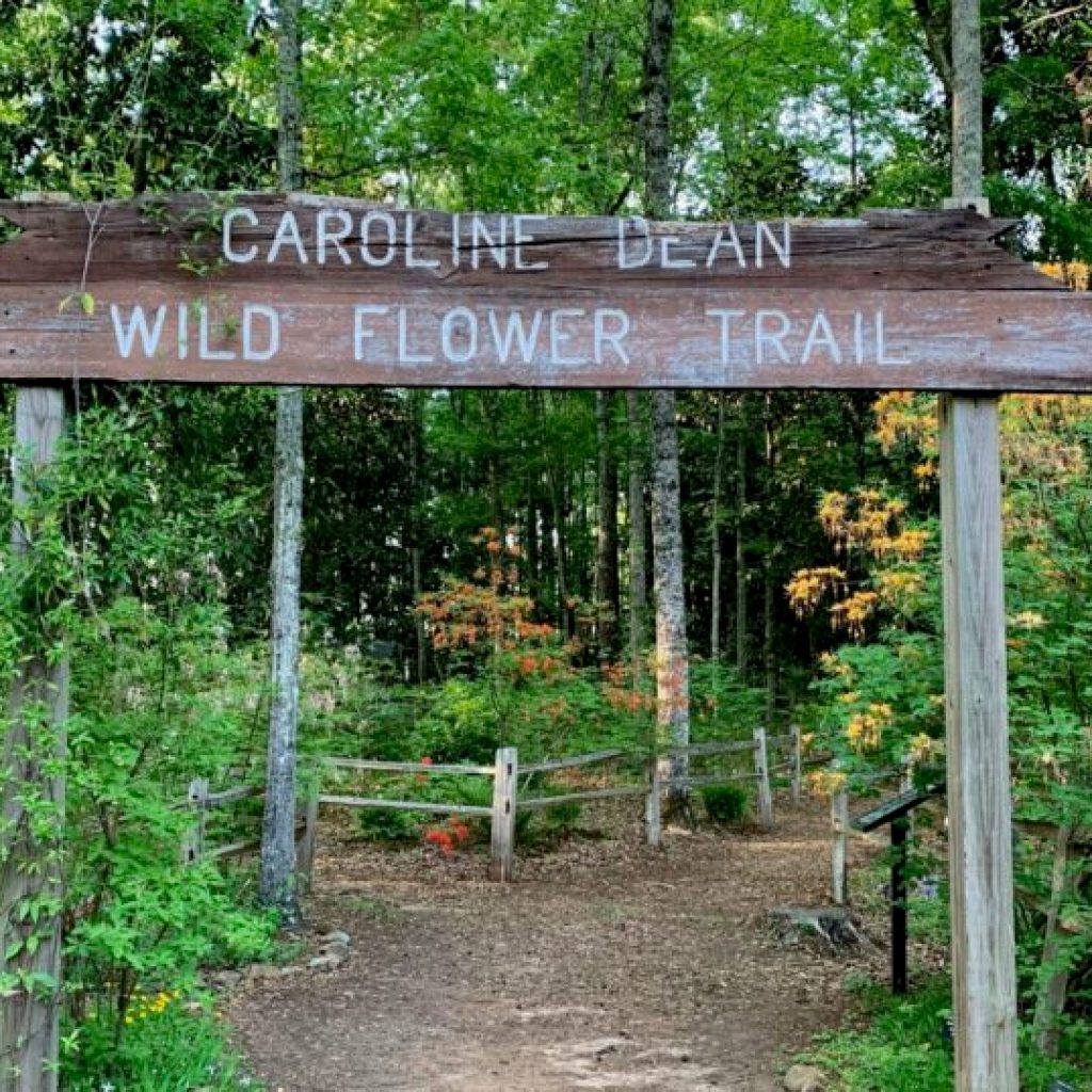 5 ways to celebrate Earth Day in Auburn this year 5 ways to celebrate Earth Day in Auburn this year