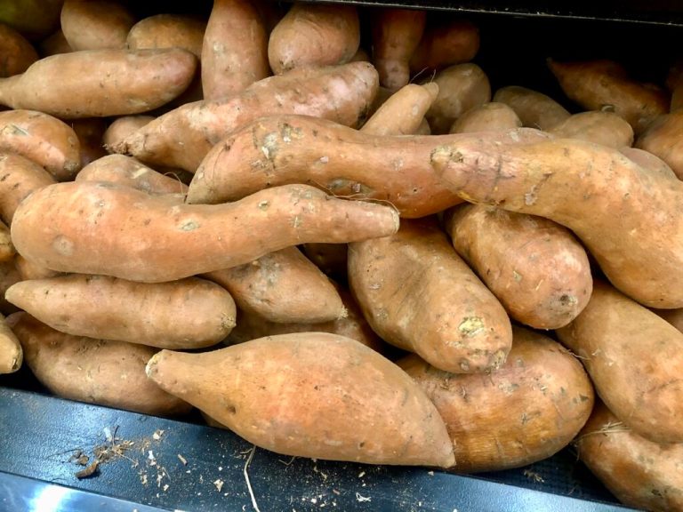 sweet potato bill sweet potato bill