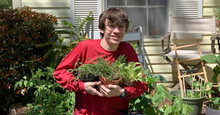 Tips you need to know for starting a garden in South Alabama Tips you need to know for starting a garden in South Alabama