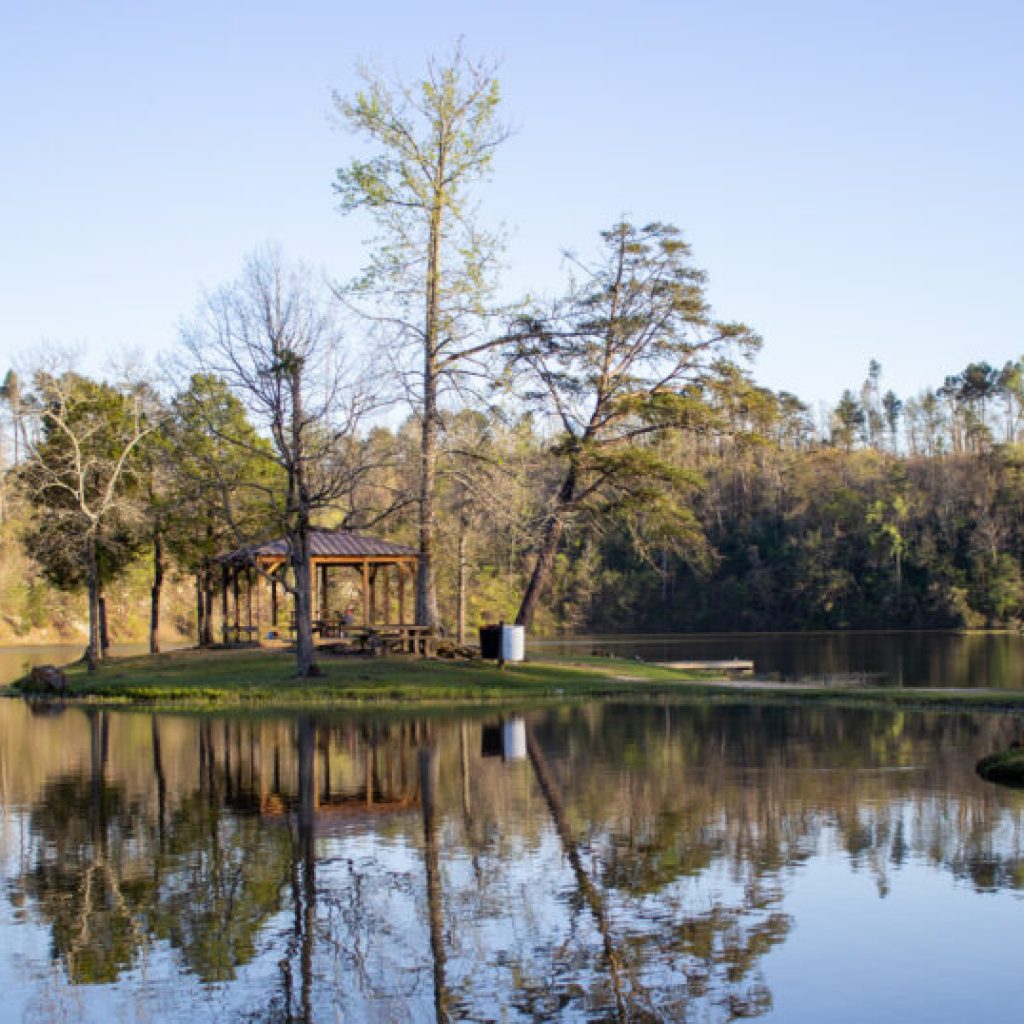 8 must-see parks in Tuscaloosa, including The Riverwalk 8 must-see parks in Tuscaloosa, including The Riverwalk
