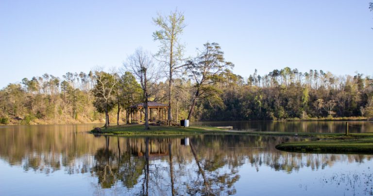 8 must-see parks in Tuscaloosa, including The Riverwalk 8 must-see parks in Tuscaloosa, including The Riverwalk