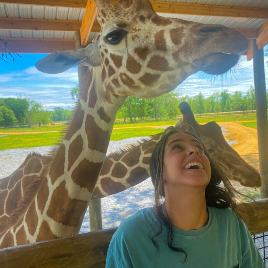 My Alabama Airbnb adventure, with a pit stop at the Alabama Safari Park My Alabama Airbnb adventure, with a pit stop at the Alabama Safari Park