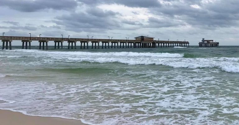 5 things to do and see at Gulf State Park, including geocaching 5 things to do and see at Gulf State Park, including geocaching