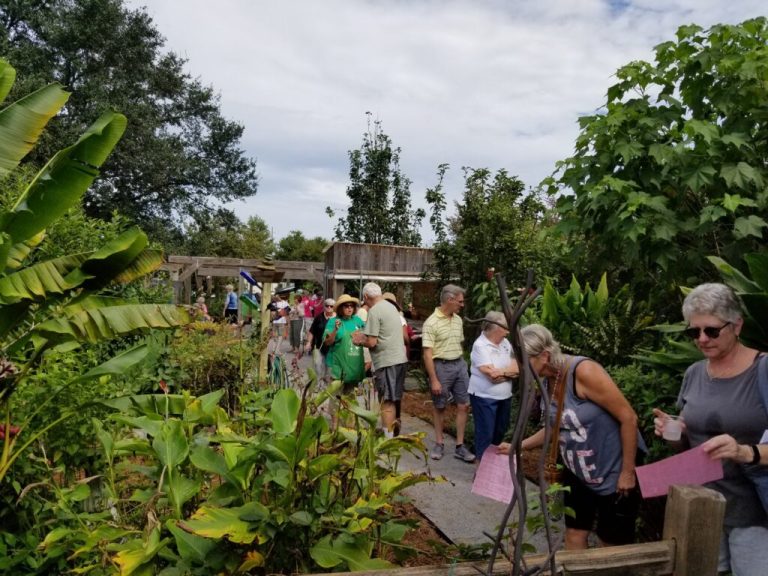 Looking for a Summer hobby? Try becoming a Master Gardener Looking for a Summer hobby? Try becoming a Master Gardener