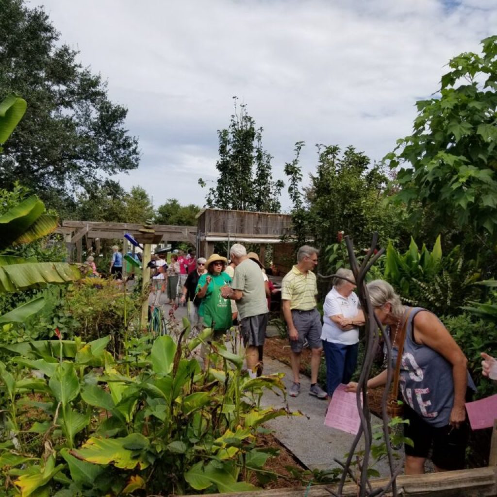 Looking for a Summer hobby? Try becoming a Master Gardener Looking for a Summer hobby? Try becoming a Master Gardener