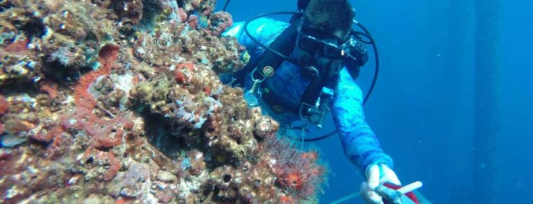How to get a hands-on learning experience at the Dauphin Island Sea Lab How to get a hands-on learning experience at the Dauphin Island Sea Lab