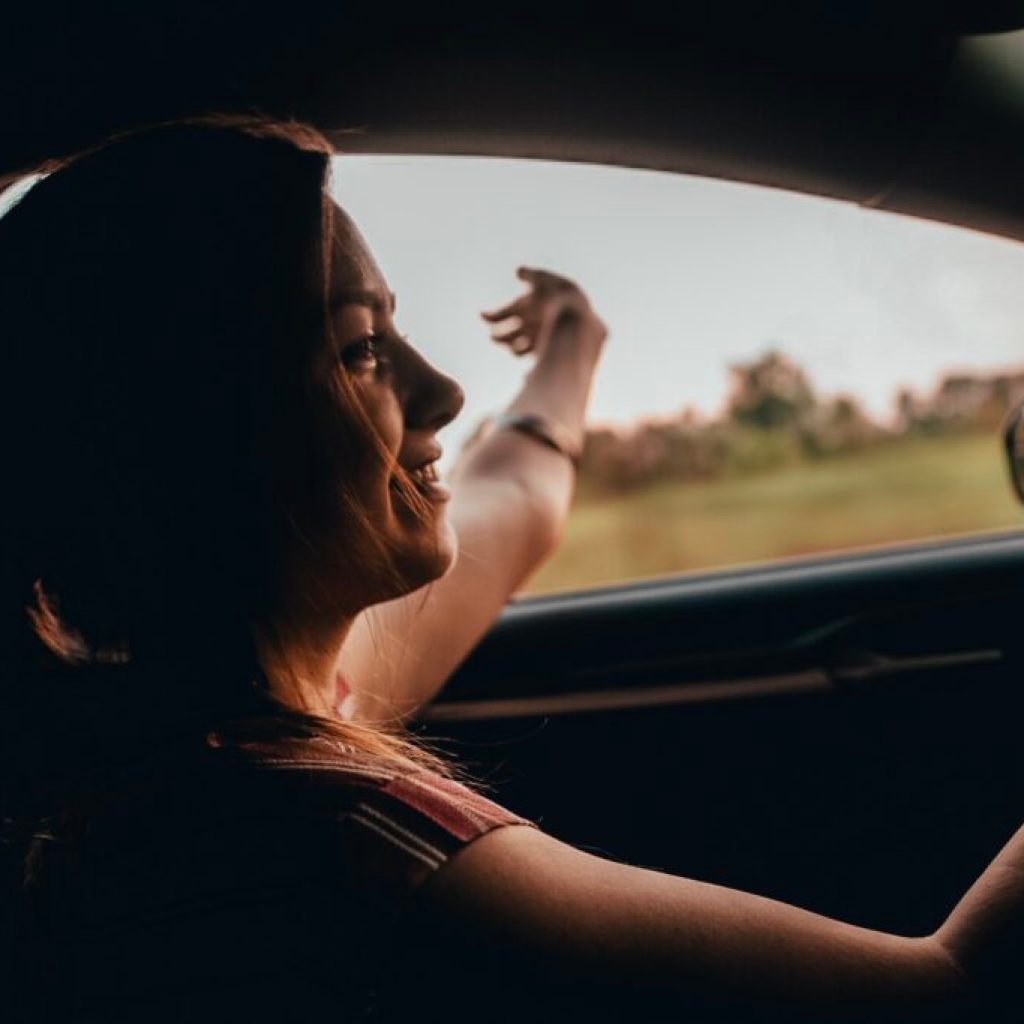 New proposed license plates coming to Alabama in 2025—including Alabama’s first wildlife rescue tag New proposed license plates coming to Alabama in 2025—including Alabama’s first wildlife rescue tag