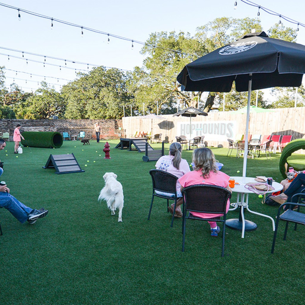 Why HopHounds is about to be your dog’s new favorite Mobile bar Why HopHounds is about to be your dog’s new favorite Mobile bar