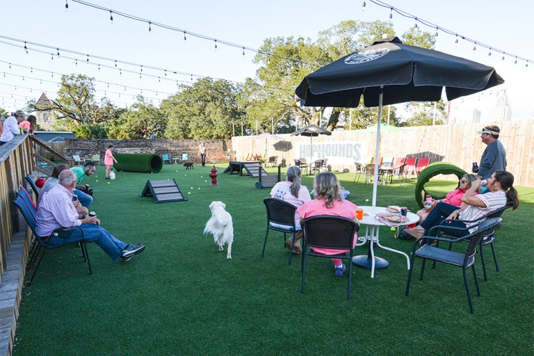 Why HopHounds is about to be your dog’s new favorite Mobile bar Why HopHounds is about to be your dog’s new favorite Mobile bar