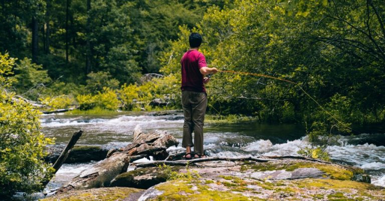 Waterkeepers Alabama release fish consumption advisories map and hotline Waterkeepers Alabama release fish consumption advisories map and hotline