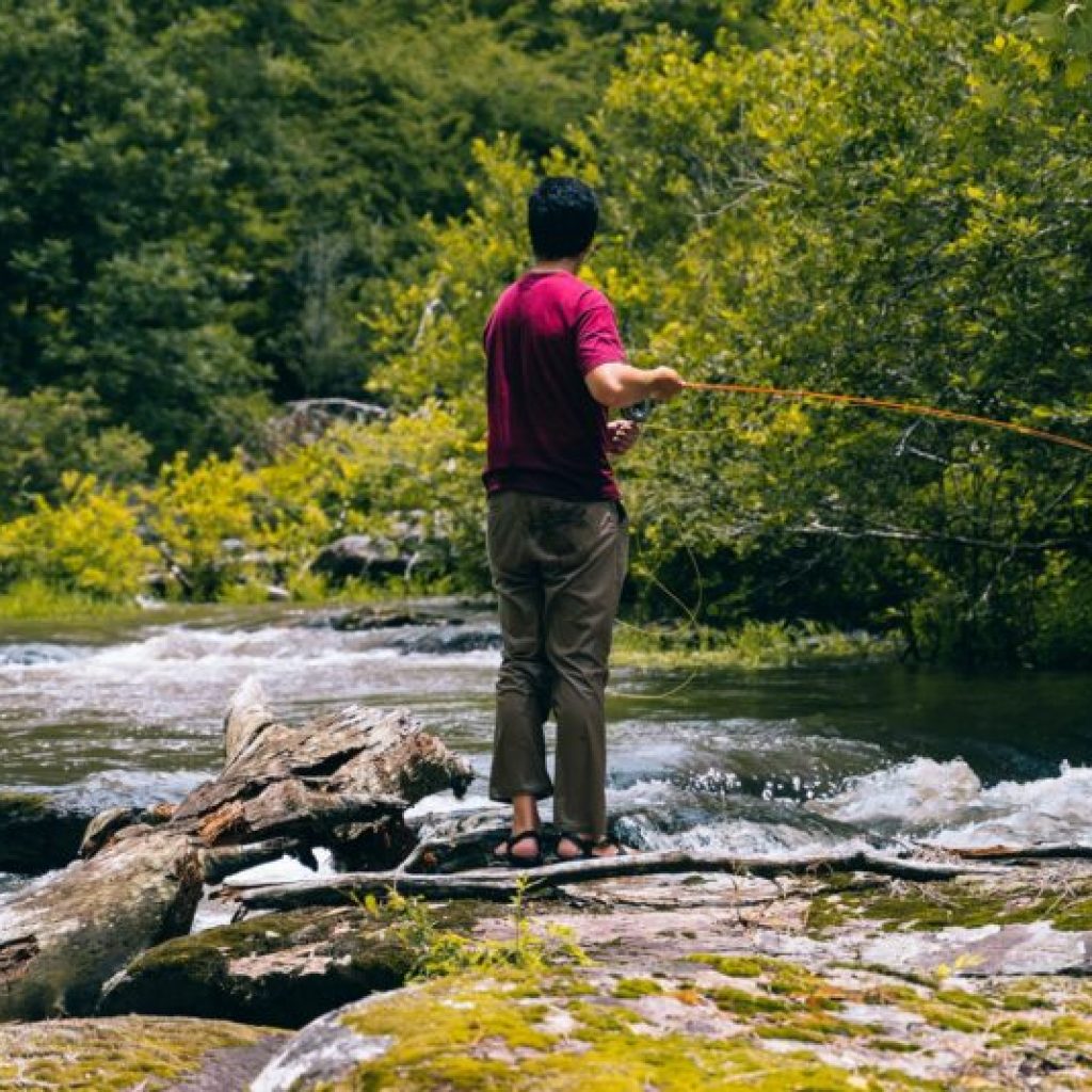 Waterkeepers Alabama release fish consumption advisories map and hotline Waterkeepers Alabama release fish consumption advisories map and hotline