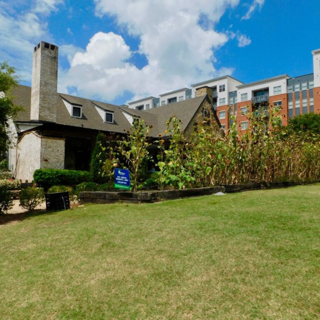 3 farm-to-table restaurants in Auburn/Opelika you have to try 3 farm-to-table restaurants in Auburn/Opelika you have to try