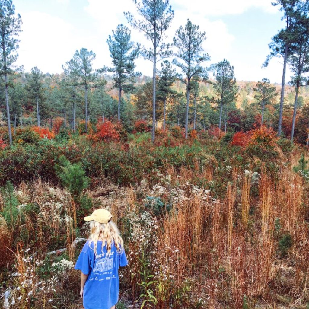 7 of the best hiking trails in Huntsville 7 of the best hiking trails in Huntsville