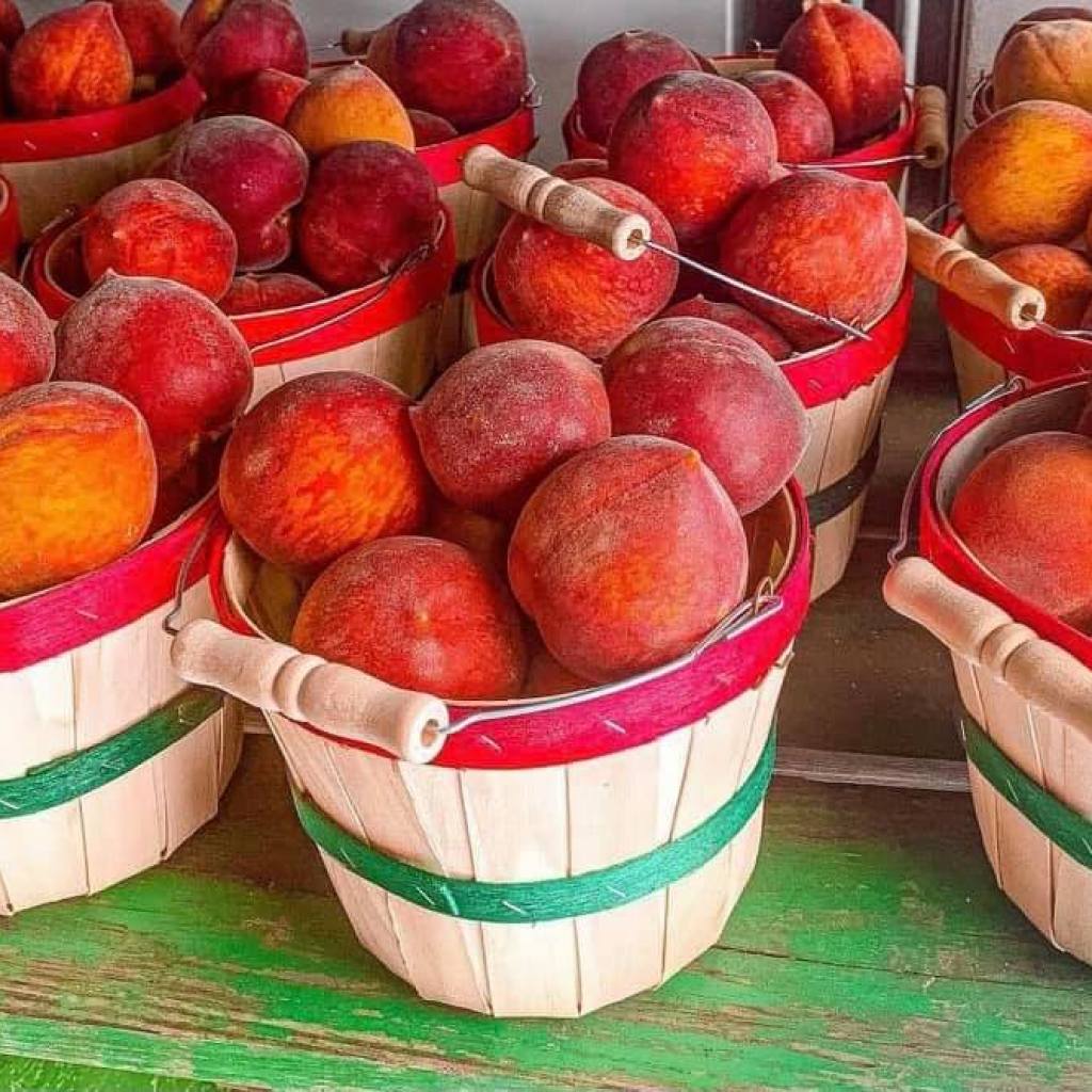 August is National Peach Month and here’s how to celebrate in Alabama August is National Peach Month and here’s how to celebrate in Alabama