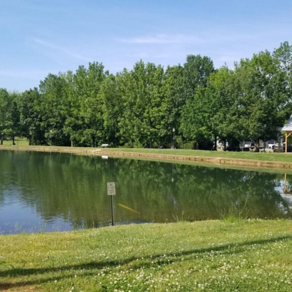 A generous gift for Hanceville: Nearly 20 acres of land will bring new green space for all to enjoy A generous gift for Hanceville: Nearly 20 acres of land will bring new green space for all to enjoy