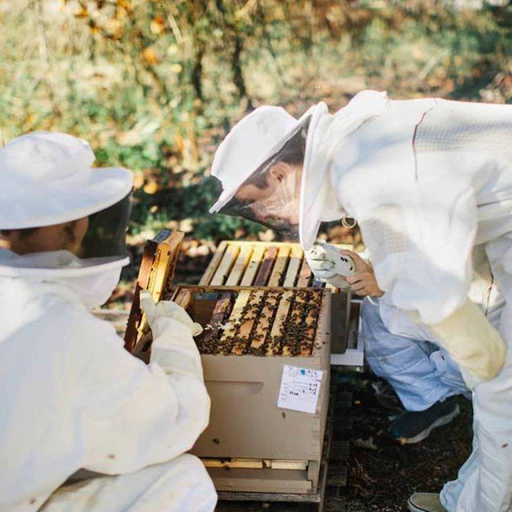 Alabama Honey Festival is in Owens Cross Roads October 3—add to your calendar now Alabama Honey Festival is in Owens Cross Roads October 3—add to your calendar now