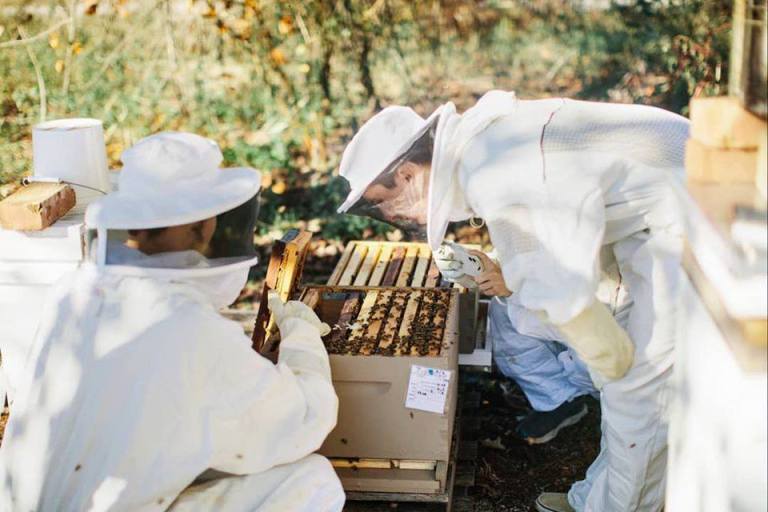 Alabama Honey Festival is in Owens Cross Roads October 3—add to your calendar now Alabama Honey Festival is in Owens Cross Roads October 3—add to your calendar now