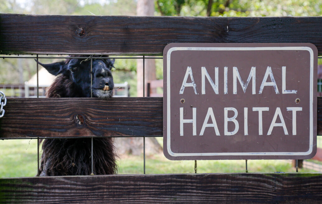 Noccalula Falls animal habitat reopening + free Frios pops Noccalula Falls animal habitat reopening + free Frios pops