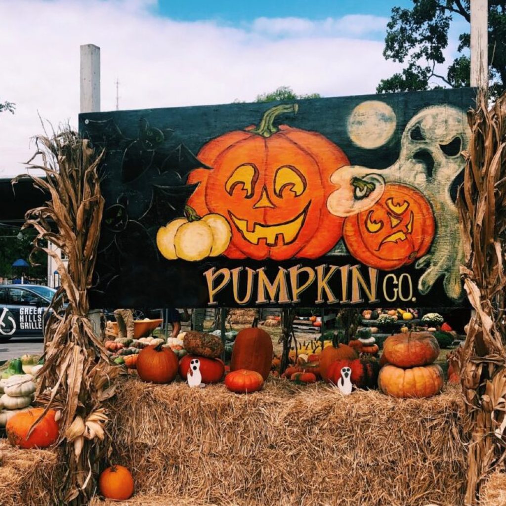 The best pumpkin patches to visit near Blount County The best pumpkin patches to visit near Blount County