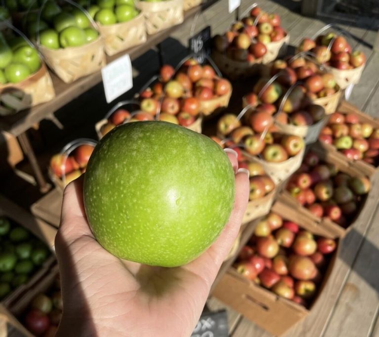 5 places to go apple picking across Alabama 5 places to go apple picking across Alabama