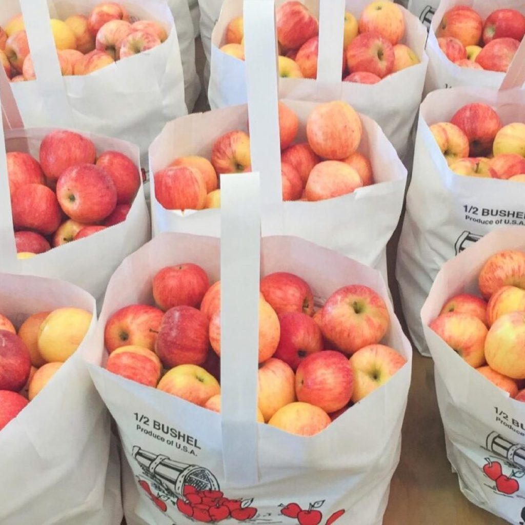 5 of the best apple picking orchards in north Alabama 5 of the best apple picking orchards in north Alabama