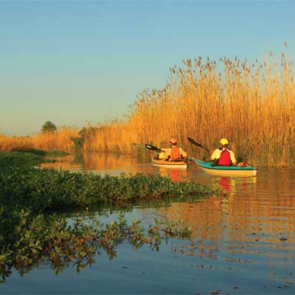 On your mark! Great Alabama paddle race is here—check it out On your mark! Great Alabama paddle race is here—check it out