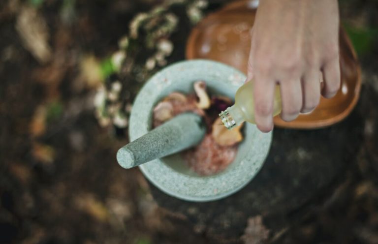 7 plants that grow great in Alabama & their health benefits 7 plants that grow great in Alabama & their health benefits
