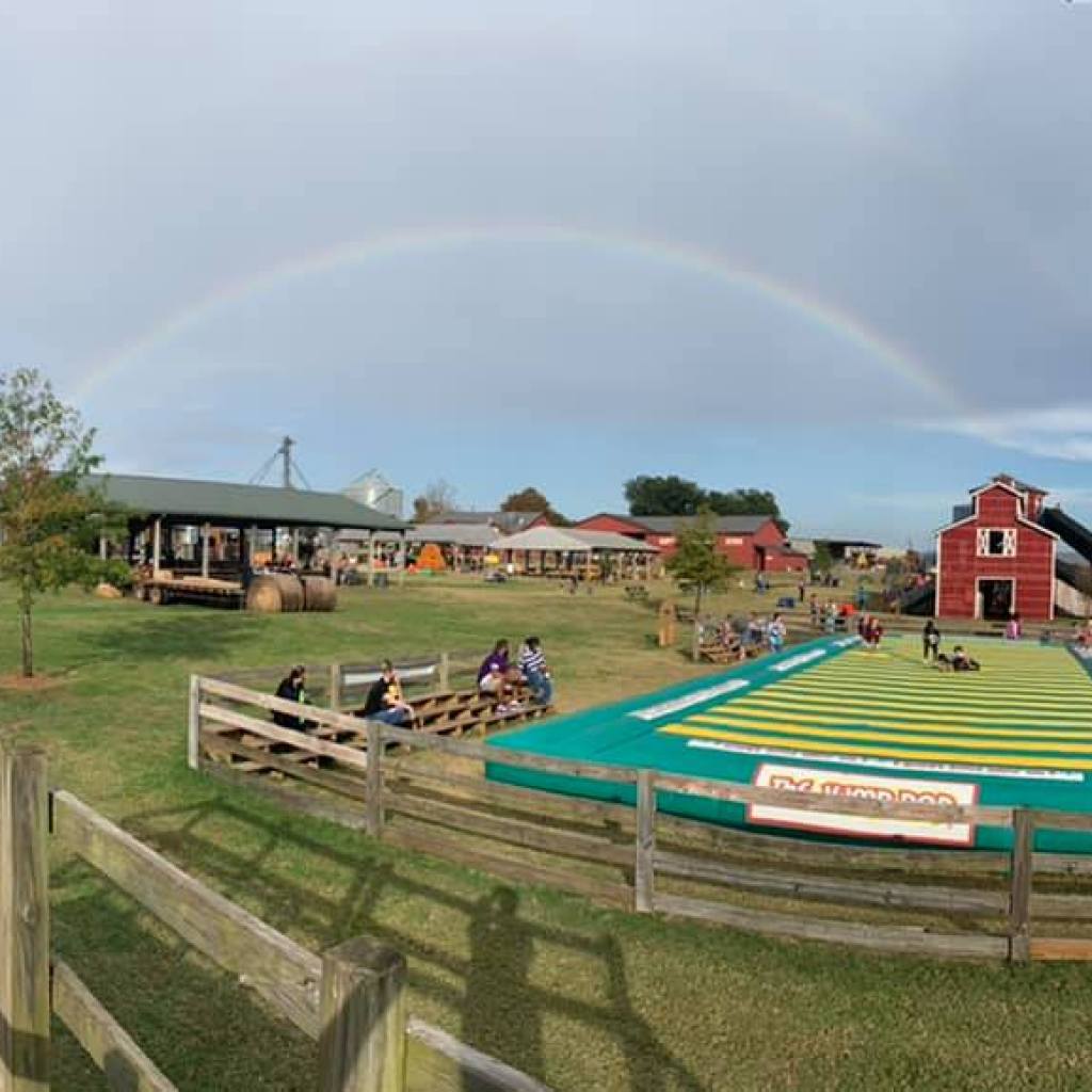 7 pumpkin patches in Alabama within 2 hours of Huntsville 7 pumpkin patches in Alabama within 2 hours of Huntsville