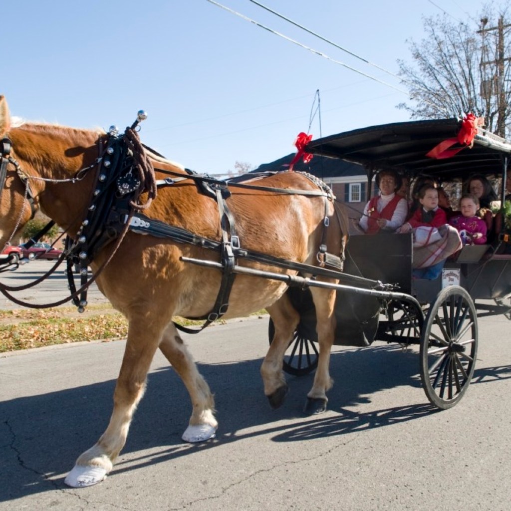 5 fun reasons to head to Fayetteville, TN for Host of Christmas Past, Nov. 12-13 5 fun reasons to head to Fayetteville, TN for Host of Christmas Past, Nov. 12-13