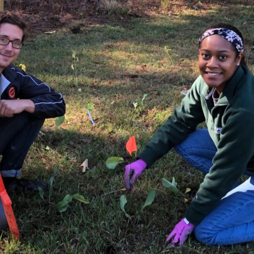 Celebrate Arbor Day in Alabama by planting a new tree Celebrate Arbor Day in Alabama by planting a new tree