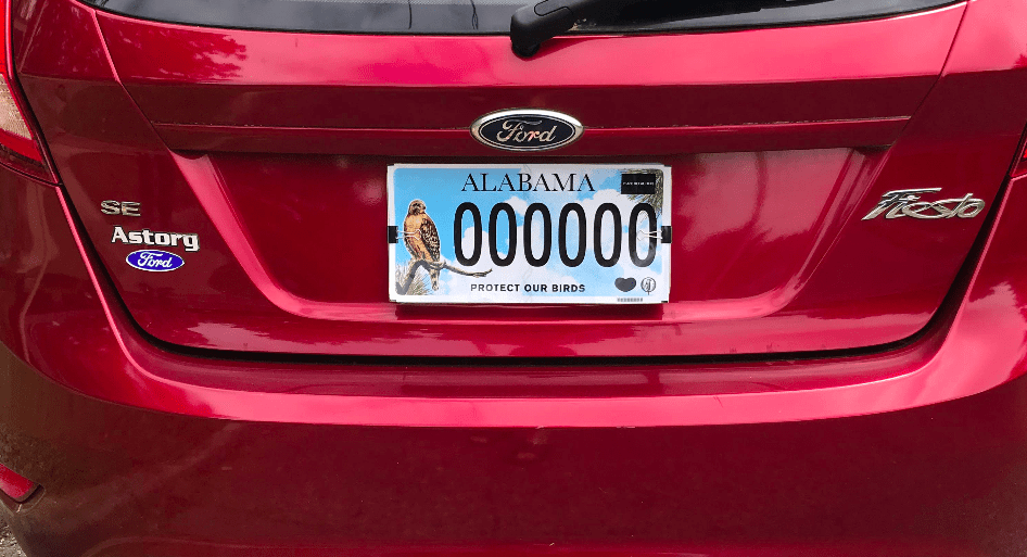 Specialty license plates support Alabama Audubon and United Ability on the road Specialty license plates support Alabama Audubon and United Ability on the road