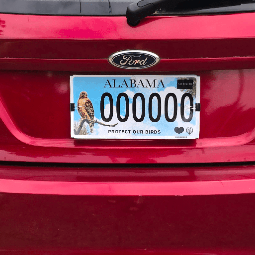 Specialty license plates support Alabama Audubon and United Ability on the road Specialty license plates support Alabama Audubon and United Ability on the road
