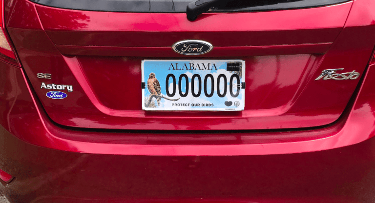 Specialty license plates support Alabama Audubon and United Ability on the road Specialty license plates support Alabama Audubon and United Ability on the road