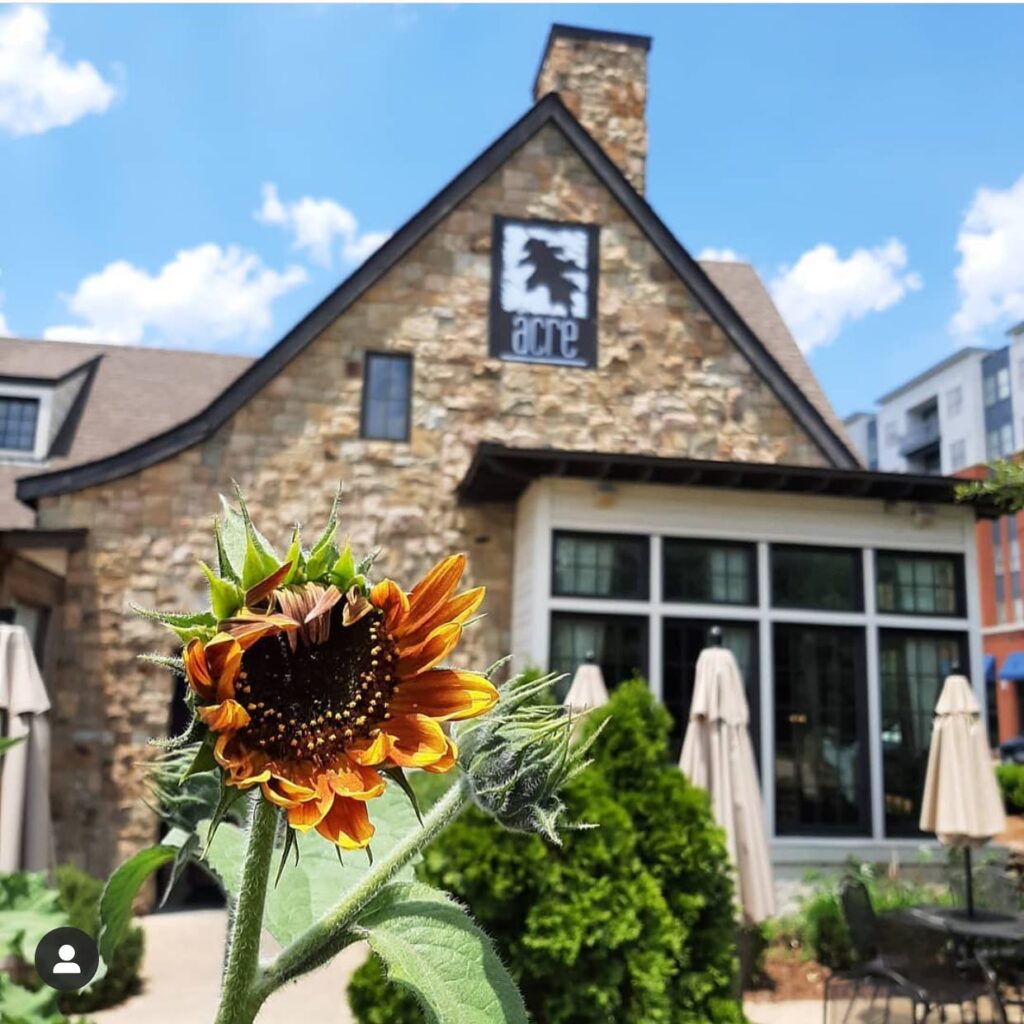 Your ultimate guide to Thanksgiving break in Auburn Your ultimate guide to Thanksgiving break in Auburn