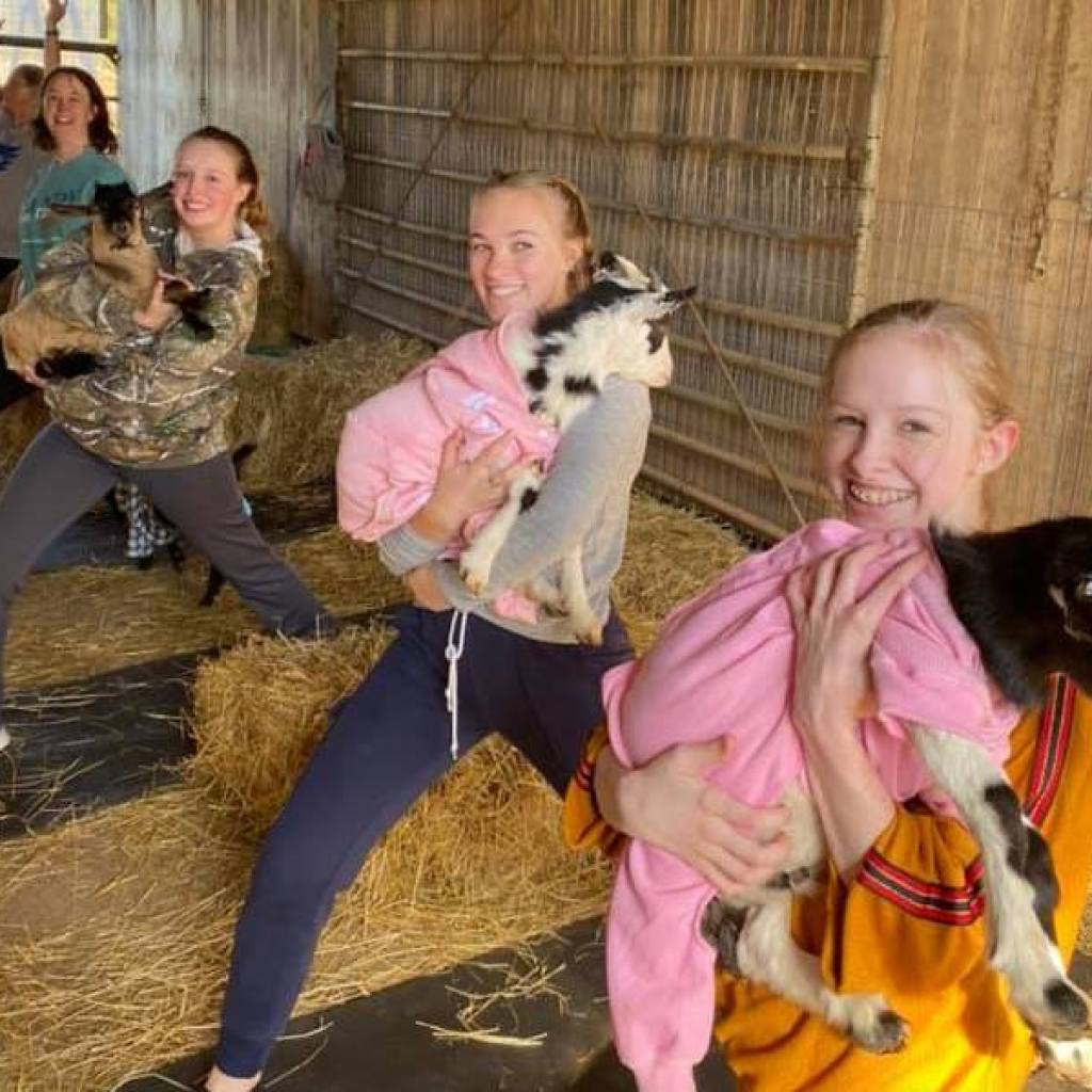 Get your stretch on with Goat Yoga Shoals — why you should try it now Get your stretch on with Goat Yoga Shoals — why you should try it now