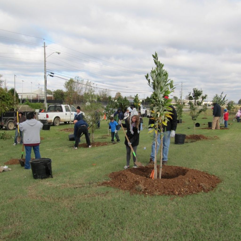 Here’s what you need to know to join Mayor Tommy Battle for Tree Planting Day in Huntsville, November 20 Here’s what you need to know to join Mayor Tommy Battle for Tree Planting Day in Huntsville, November 20