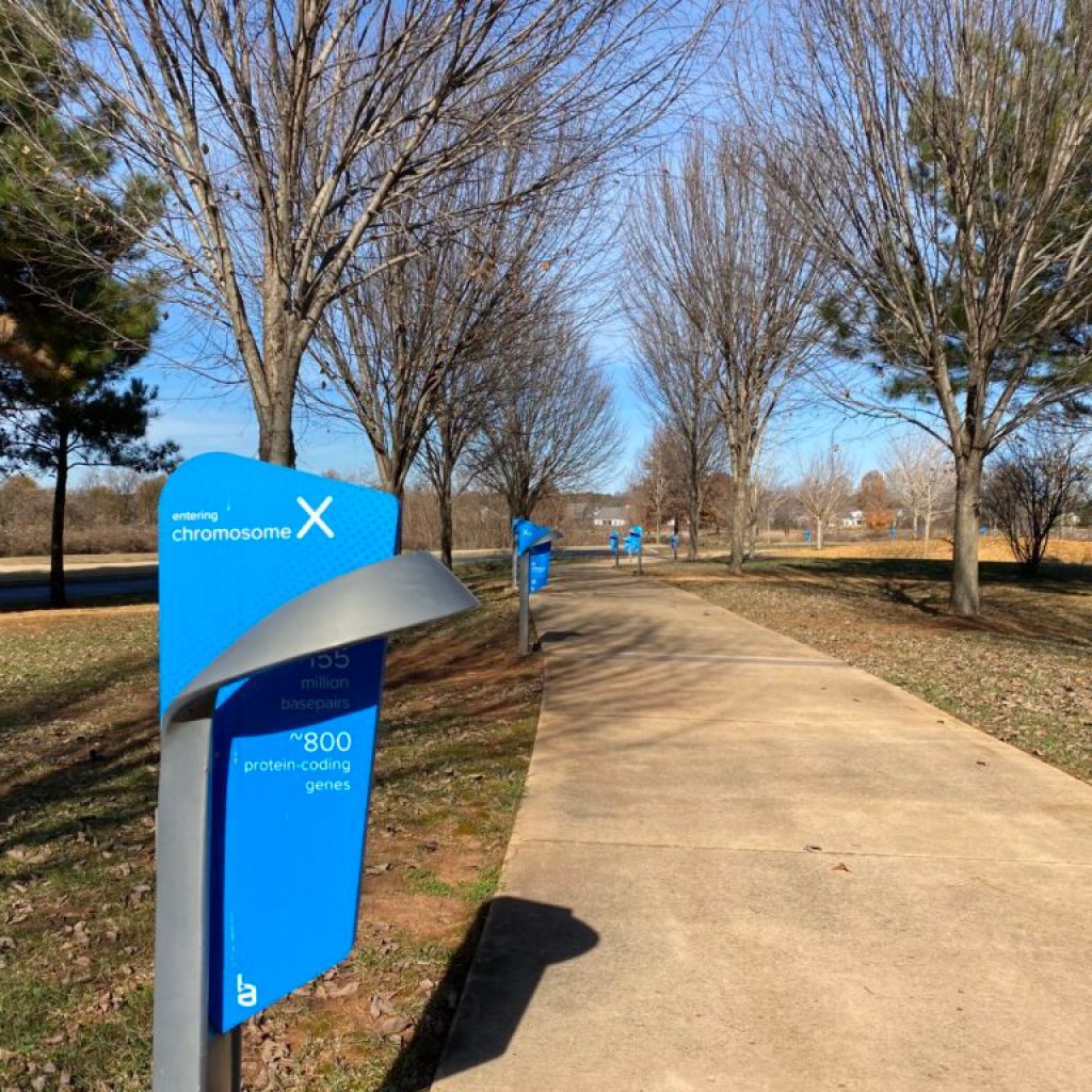 Check out HudsonAlpha’s unique outdoor exhibit in Huntsville Check out HudsonAlpha’s unique outdoor exhibit in Huntsville