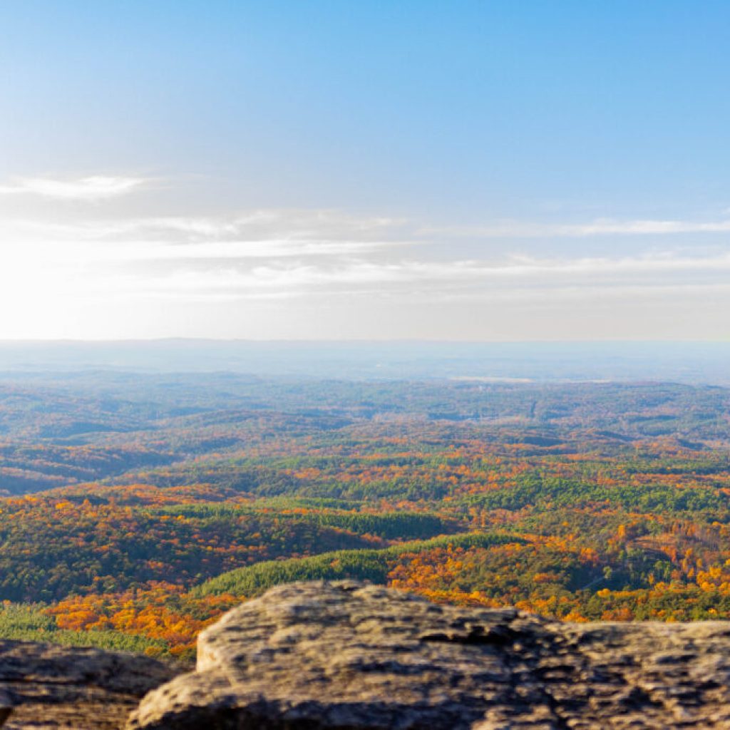 Top 12 stories that Bama Buzz readers loved in 2021 Top 12 stories that Bama Buzz readers loved in 2021