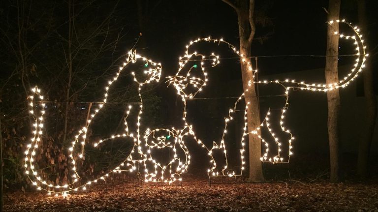 See the Montgomery Zoo transformed into a magical winter wonderland See the Montgomery Zoo transformed into a magical winter wonderland