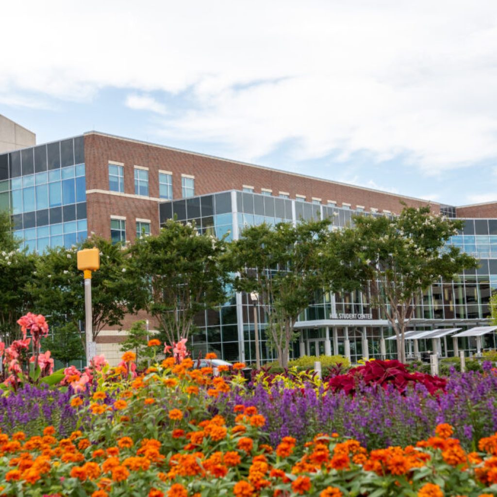 Welcome to the first day of spring—what to know about the equinox Welcome to the first day of spring—what to know about the equinox