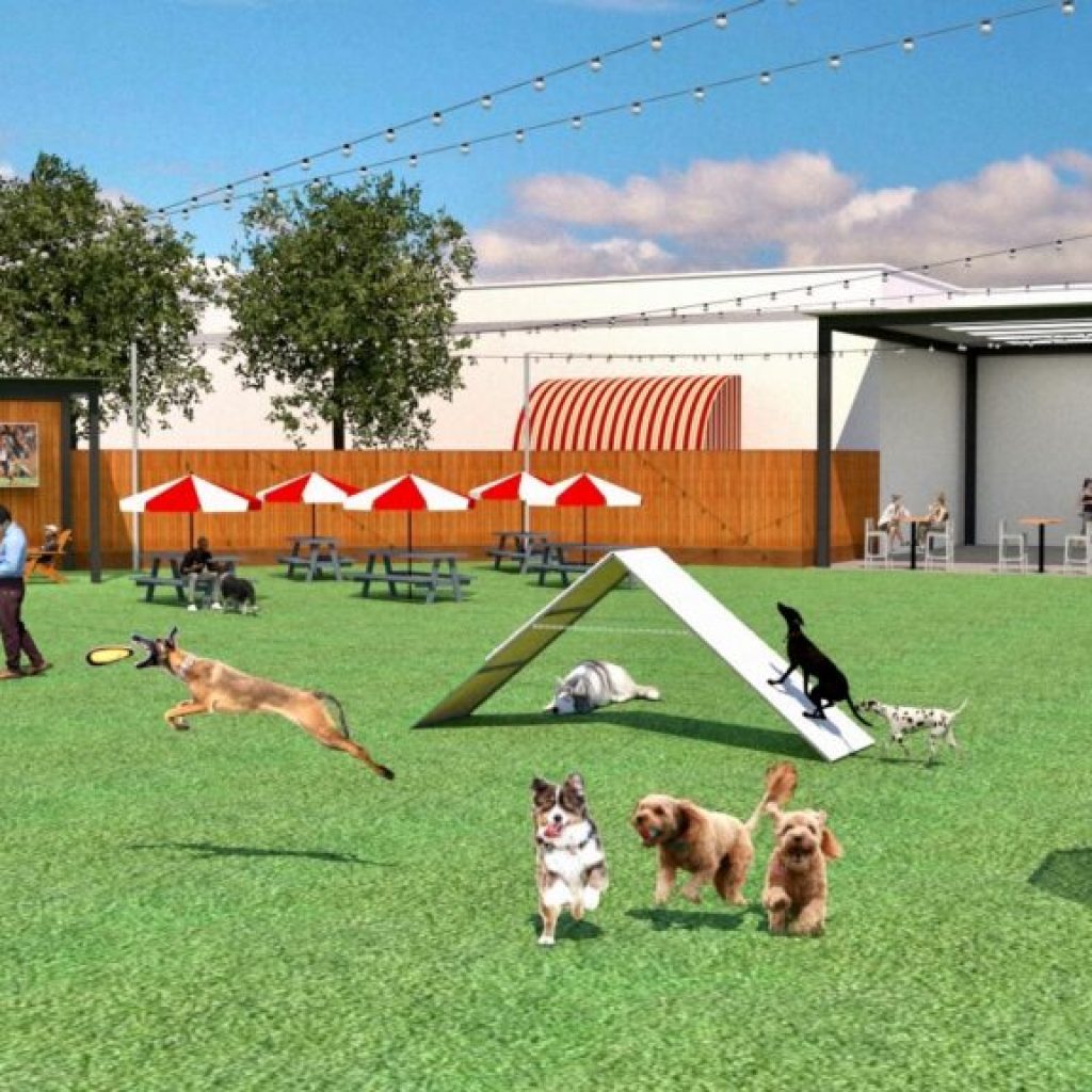 On the horizon: Good Dog Park & Bar coming to Auburn On the horizon: Good Dog Park & Bar coming to Auburn