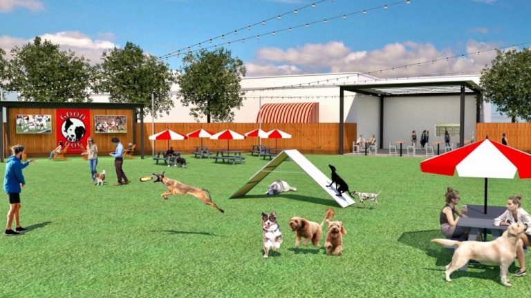On the horizon: Good Dog Park & Bar coming to Auburn On the horizon: Good Dog Park & Bar coming to Auburn