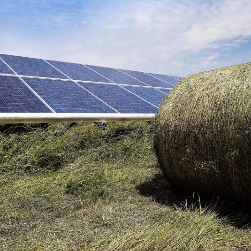 Here comes the sun! New solar farm in Montgomery to serve 11 communities throughout Alabama Here comes the sun! New solar farm in Montgomery to serve 11 communities throughout Alabama