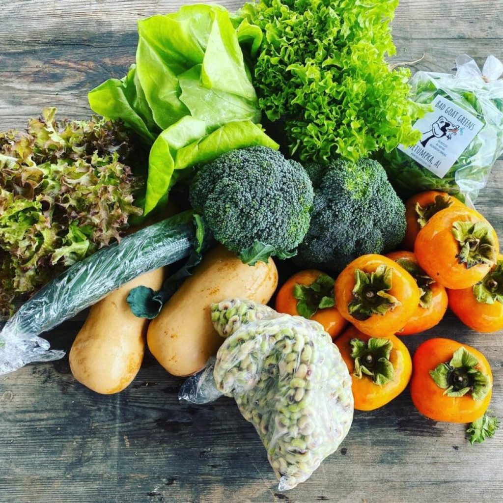 Nourish, AL: All you need to know about this East Alabama hunger initiative Nourish, AL: All you need to know about this East Alabama hunger initiative