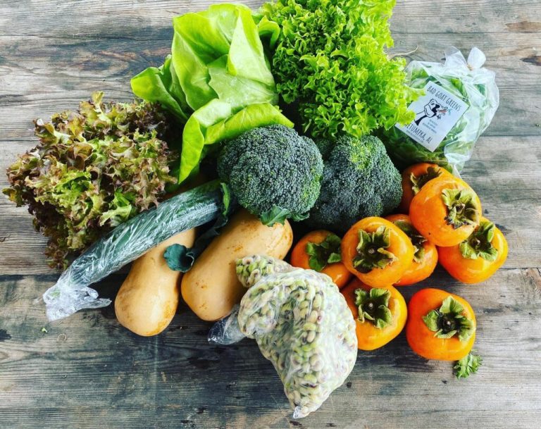 Nourish, AL: All you need to know about this East Alabama hunger initiative Nourish, AL: All you need to know about this East Alabama hunger initiative
