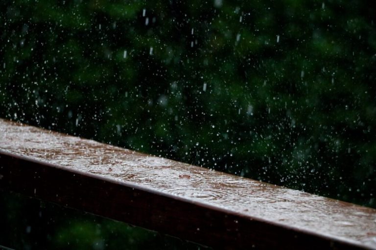 Rainy Day? No problem! 6 Ways to escape the rain on the Gulf Coast Rainy Day? No problem! 6 Ways to escape the rain on the Gulf Coast