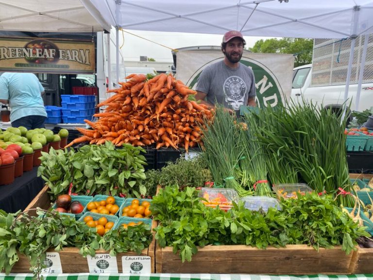 Find the best fresh produce at these Alabama Farmer’s Markets Find the best fresh produce at these Alabama Farmer’s Markets
