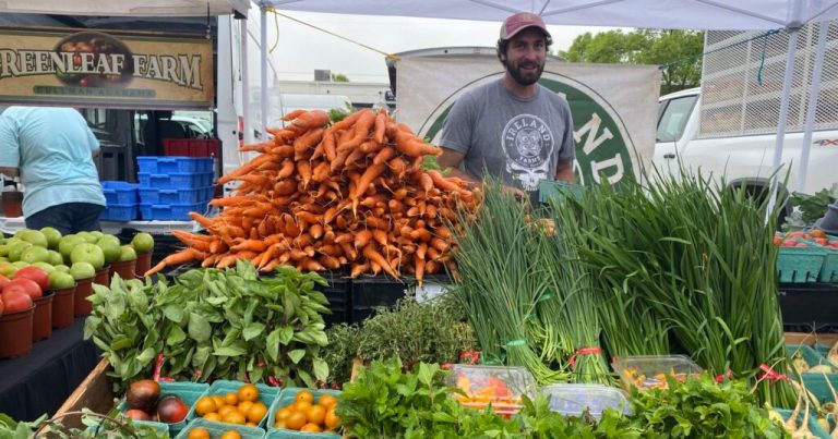 23 Alabama farmers’ markets you won’t want to miss 23 Alabama farmers’ markets you won’t want to miss