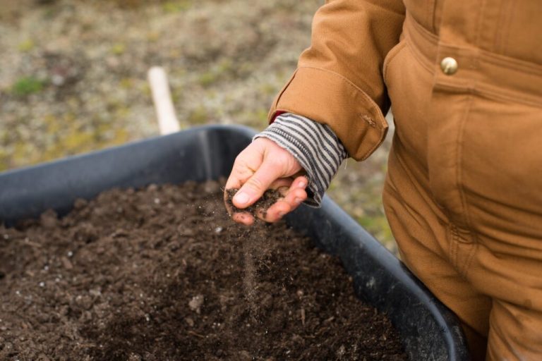 Skyrocketing costs are hurting Alabama farmers—here’s how to help Skyrocketing costs are hurting Alabama farmers—here’s how to help