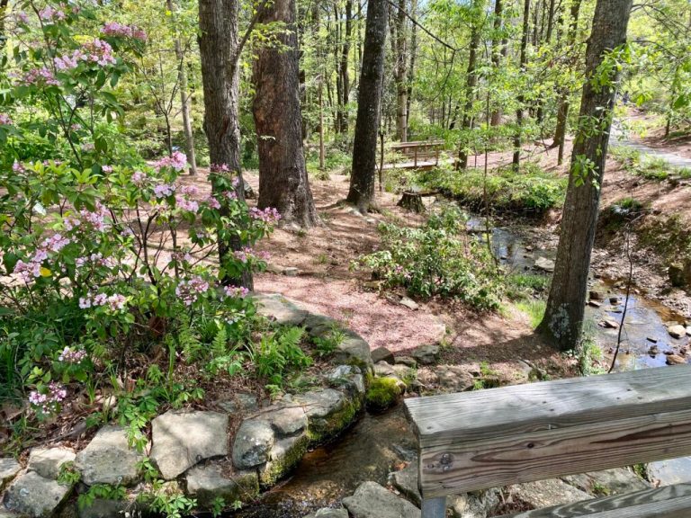 Auburn’s Davis Arboretum ranks among the 30 most beautiful college arboretums in the country Auburn’s Davis Arboretum ranks among the 30 most beautiful college arboretums in the country